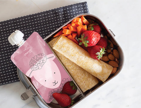 Reusable Baby Food/ Yoghurt Pouch