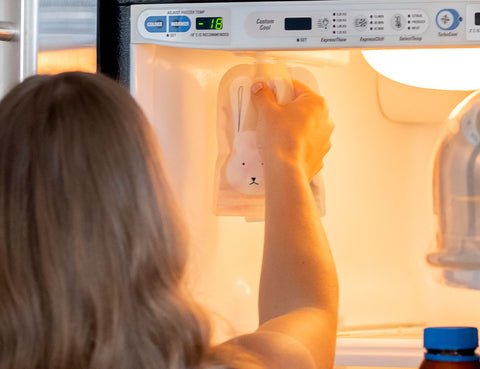 Reusable Food / Yoghurt Pouches & Breast Milk Bag Organiser - Freezer