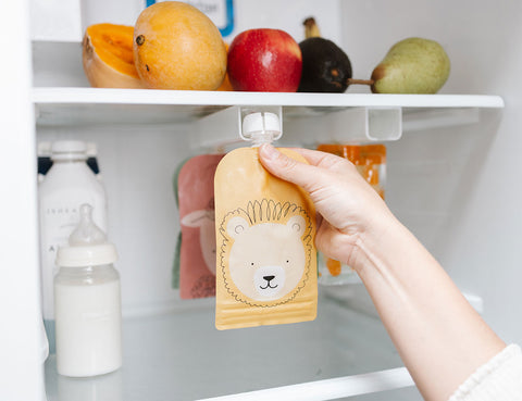 Baby Food Pouch & Breast Milk Bag Organiser